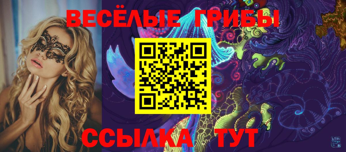 Галлюциногенные грибы GOLDEN TEACHER Тосно